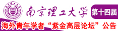 国语好吊操逼视频南京理工大学第十四届海外青年学者紫金论坛诚邀海内外英才！